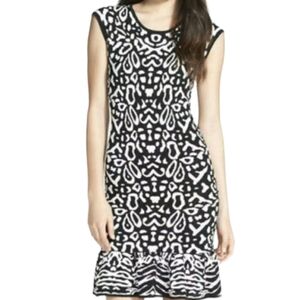 NWT Felicity & Coco Selia Black White Print Ruffle Hem Sweater Dress Medium